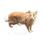 一言ネコ#0（個別スタンプ：25）