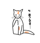 猫はあなたのスポークスパーソン（個別スタンプ：15）