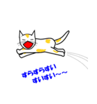 猫はあなたのスポークスパーソン（個別スタンプ：16）