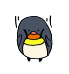 いろいろな種類のペンギンのNAKAMAたち（個別スタンプ：20）