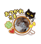 今日ですか？（個別スタンプ：3）