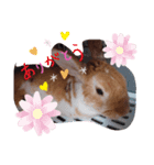 今日ですか？（個別スタンプ：6）