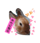 今日ですか？（個別スタンプ：8）