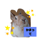 遊んで（個別スタンプ：1）