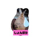 遊んで（個別スタンプ：2）