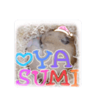 うみまるスタンプ（個別スタンプ：2）