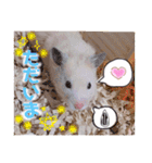 うみまるスタンプ（個別スタンプ：5）