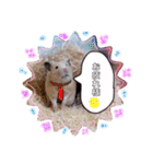 うみまるスタンプ（個別スタンプ：6）