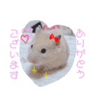 うみまるスタンプ（個別スタンプ：7）