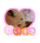 うみまるスタンプ（個別スタンプ：12）