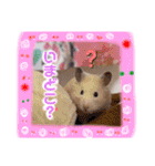 うみまるスタンプ（個別スタンプ：18）