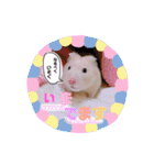 うみまるスタンプ（個別スタンプ：21）