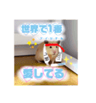 うみまるスタンプ（個別スタンプ：23）