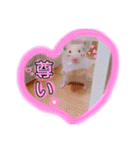 うみまるスタンプ（個別スタンプ：24）