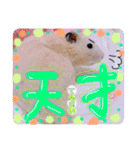 うみまるスタンプ（個別スタンプ：26）
