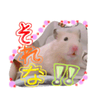 うみまるスタンプ（個別スタンプ：27）