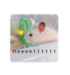 うみまるスタンプ（個別スタンプ：28）