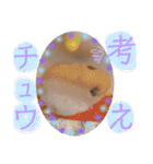 うみまるスタンプ（個別スタンプ：30）
