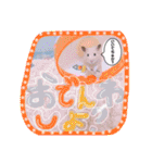うみまるスタンプ（個別スタンプ：31）