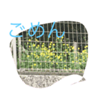 景色 イラスト（個別スタンプ：3）