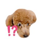 可愛いさくちゃんスタンプ（個別スタンプ：6）