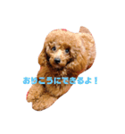 可愛いさくちゃんスタンプ（個別スタンプ：11）