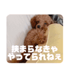 可愛いさくちゃんスタンプ（個別スタンプ：13）