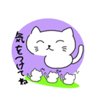 ねーねーねこ 1（個別スタンプ：10）