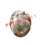こよりさんスタンプ（個別スタンプ：7）