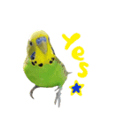 ぴよふぁむ（個別スタンプ：3）