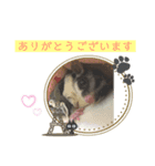 モモンガ大好き 日常会話（個別スタンプ：1）