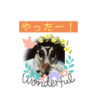 モモンガ大好き 日常会話（個別スタンプ：4）