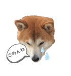 むーむーです3（個別スタンプ：3）
