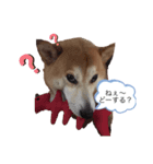 むーむーです3（個別スタンプ：4）