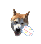 むーむーです3（個別スタンプ：7）