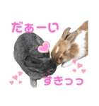 ハムちん＆クロちん（個別スタンプ：5）
