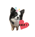 momo727（個別スタンプ：8）