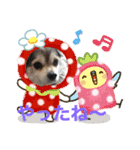 ごんまめはな Part2（個別スタンプ：2）