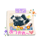 ごんまめはな Part2（個別スタンプ：4）