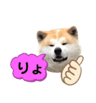 秋田犬のコタロウ（個別スタンプ：9）