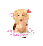 ダックス★そうちゃん（個別スタンプ：1）