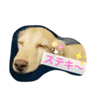 ダックス★そうちゃん（個別スタンプ：2）