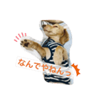 ダックス★そうちゃん（個別スタンプ：6）