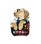 ダックス★そうちゃん（個別スタンプ：10）