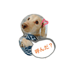 ダックス★そうちゃん（個別スタンプ：13）