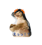 ダックス★そうちゃん（個別スタンプ：16）