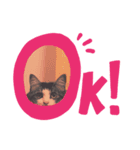 ギン！（個別スタンプ：1）