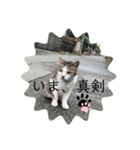 たからもの2020の②（個別スタンプ：7）