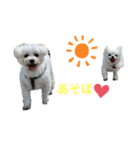 たからもの2020の②（個別スタンプ：8）