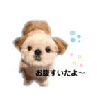 こつぶちゃんダヨ（個別スタンプ：2）